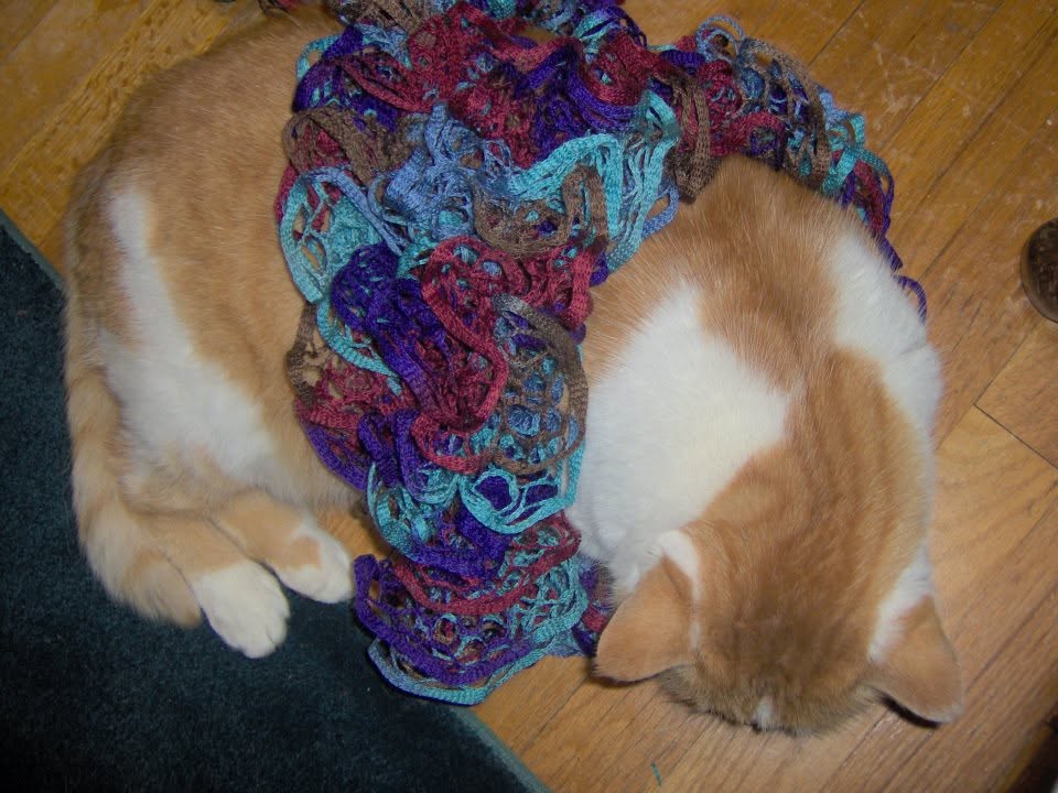 Orange-and-white cat wearing a purple, teal, and pink openwork scarf